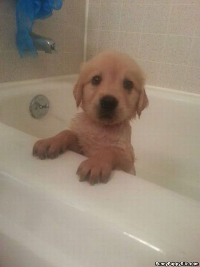 Cutest Bath Time Ever