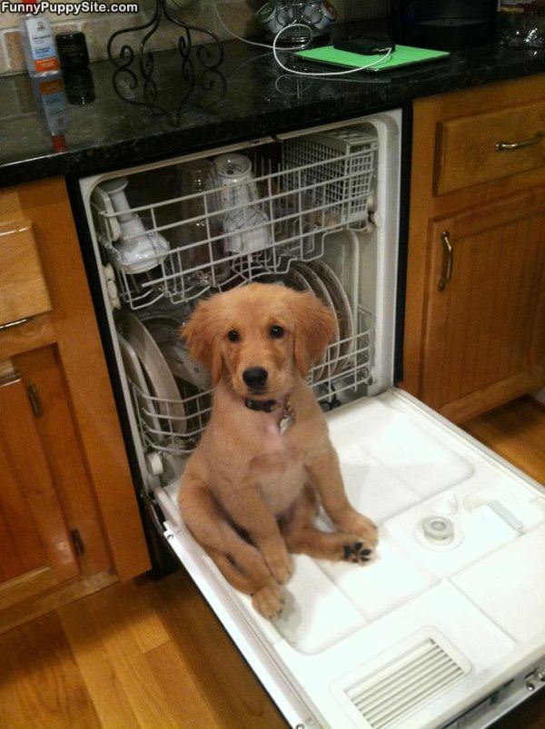 Dishes Are Clean