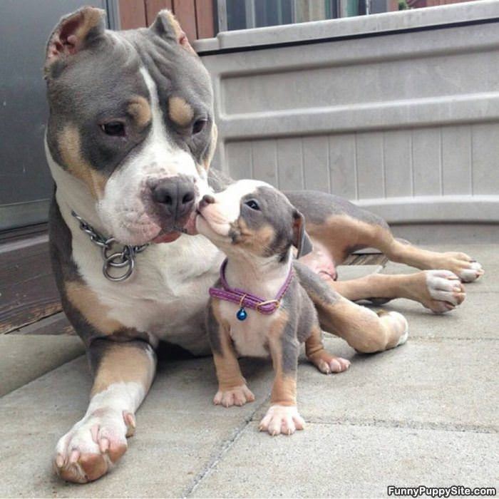 Giving Mommy A Kiss