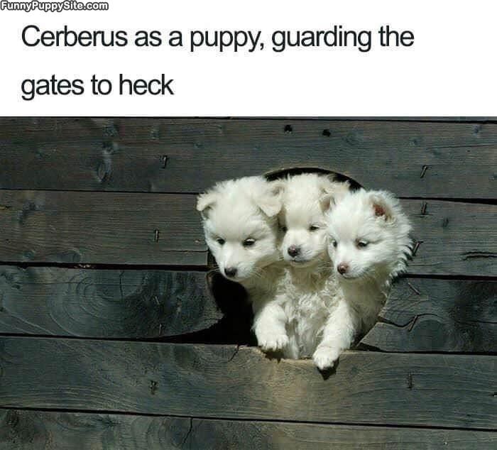 Guarding The Gates