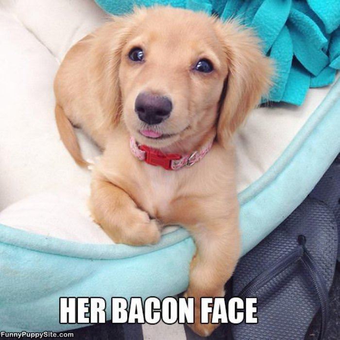 Her Bacon Face
