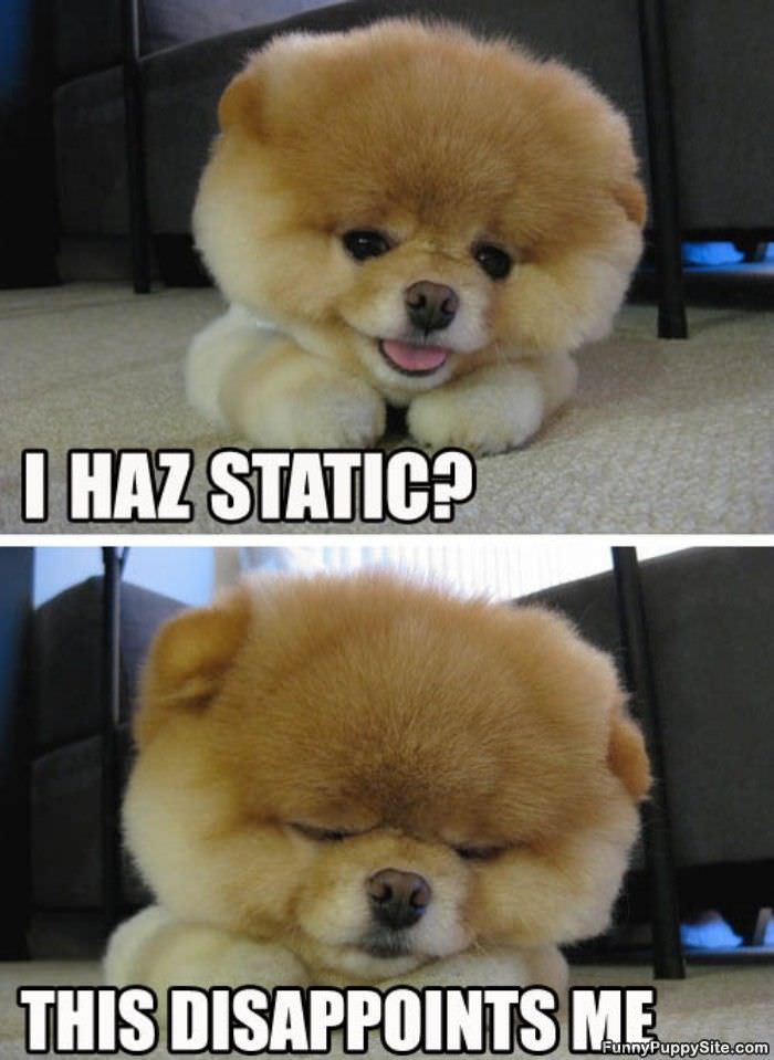 I Haz Static