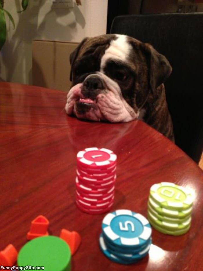 Lets Play Some Poker