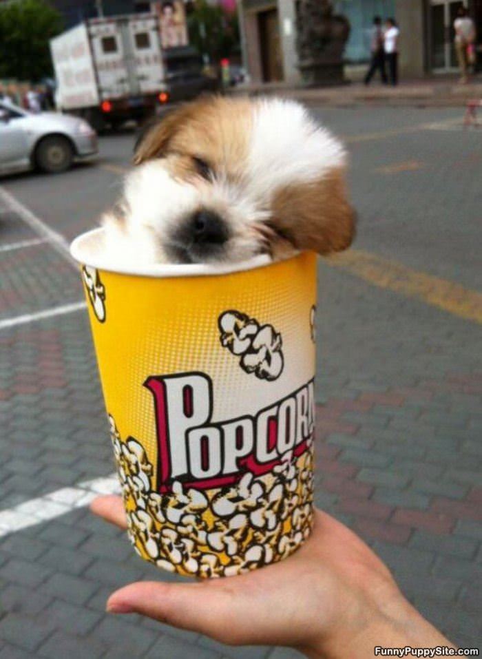 Popcorn Sized