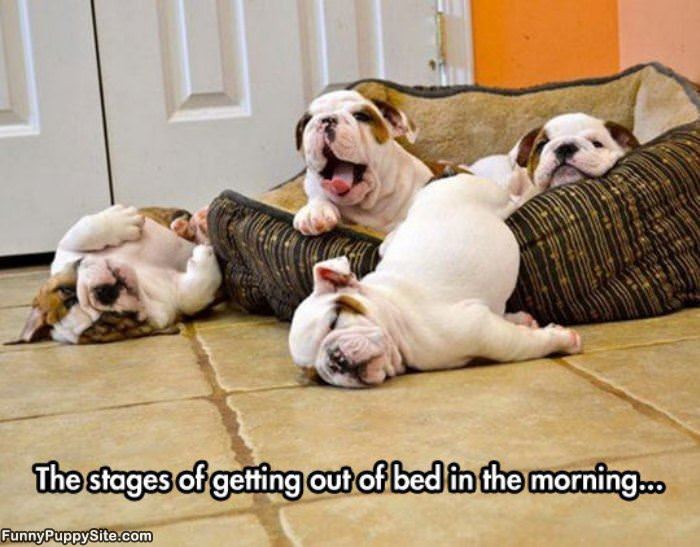 Stages Of Getting Out Of Bed