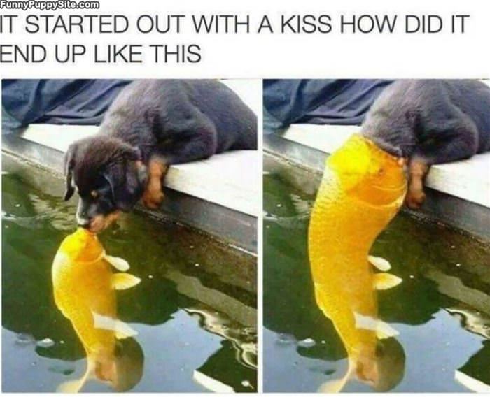 Started With A Kiss