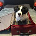 Can You Take Me With You