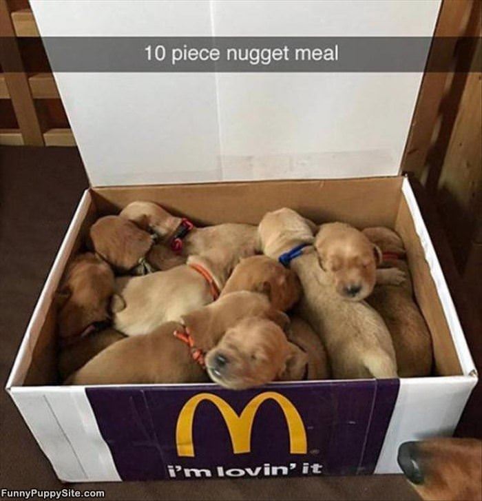 10 Piece Nugget