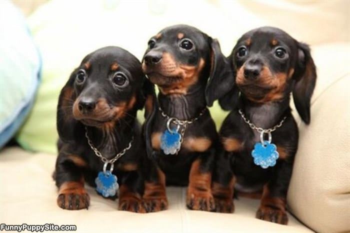 3 Of Us