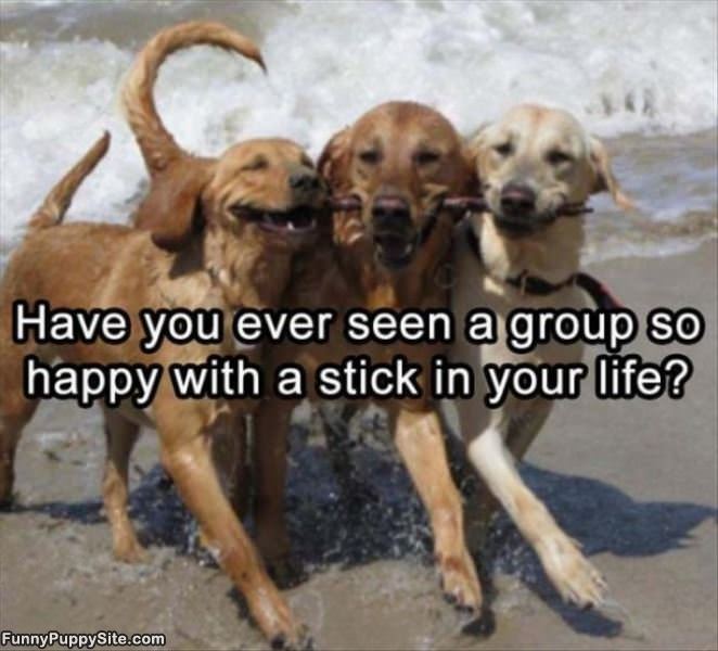 A Group With A Stick