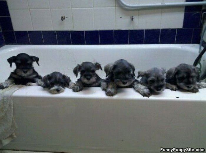 A Tub Full