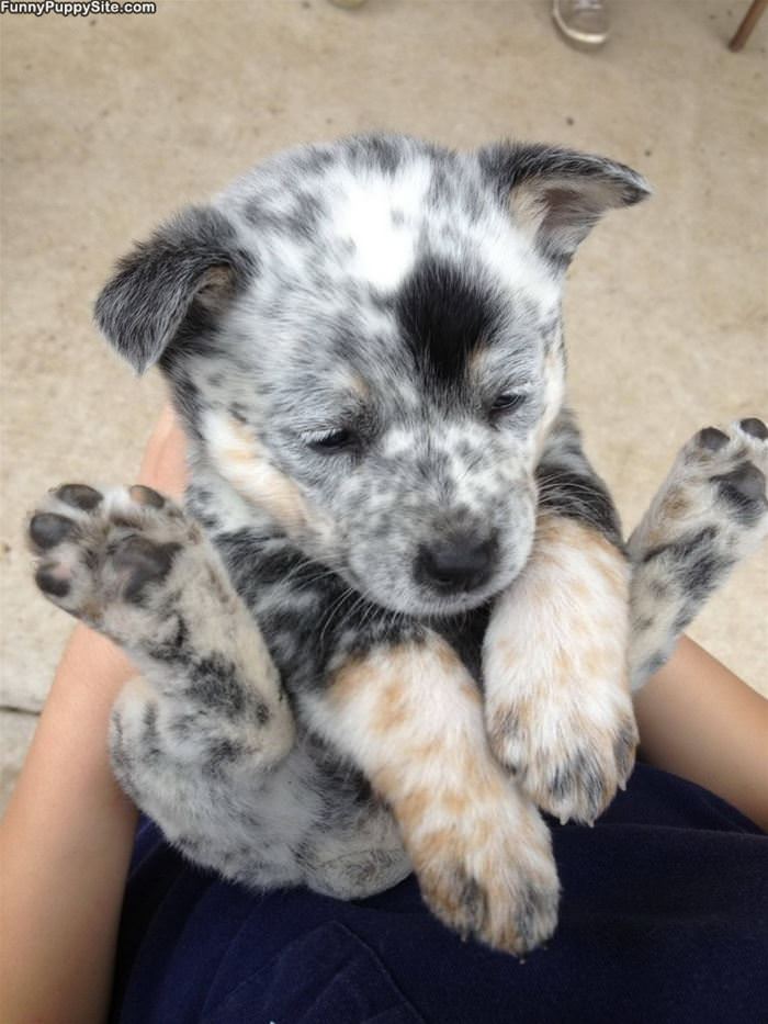 Adorable Sitting Up