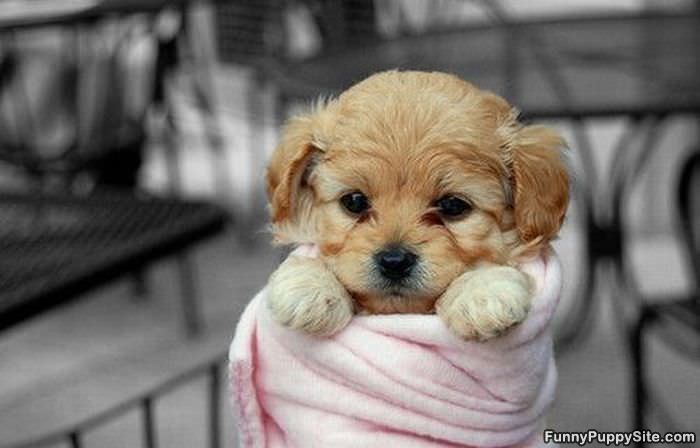 All Curled Up