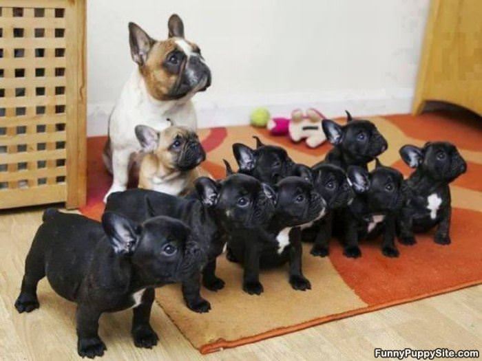 All Of These Are Mine