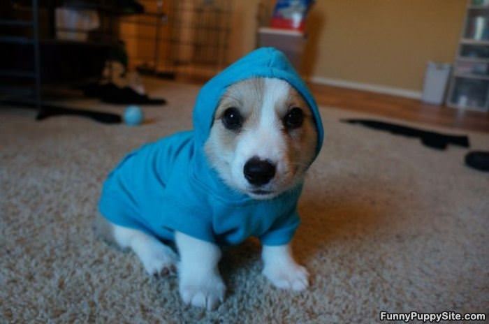 All Warm Now