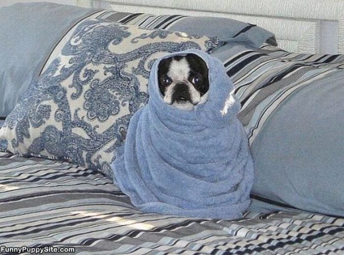 All Wrapped Up
