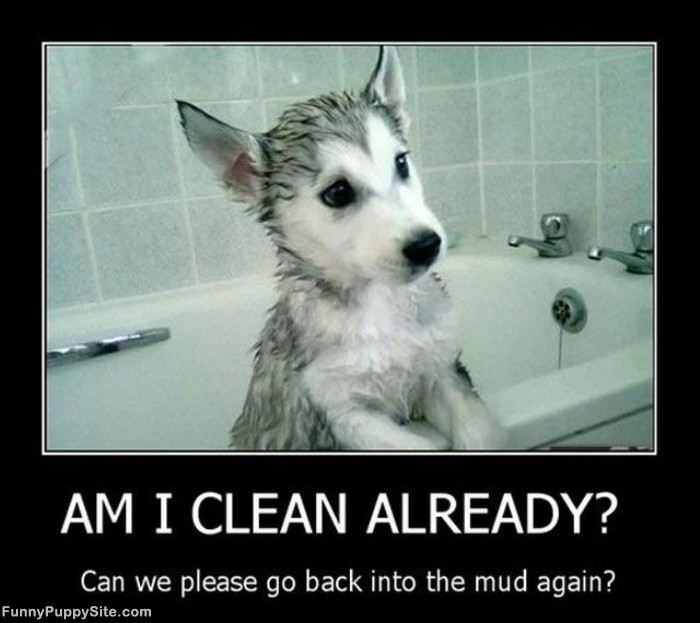 Am I Clean Already