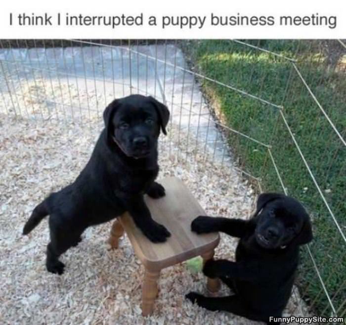 An Important Meeting