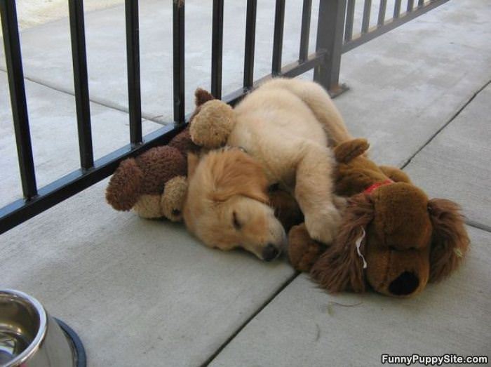 Asleep With My Friend