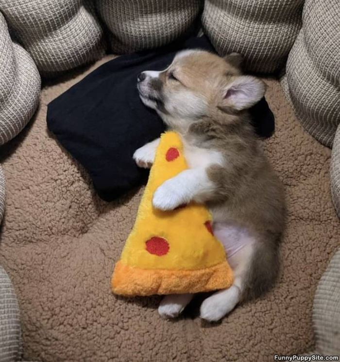 Asleep With My Pizza