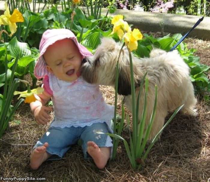 Baby And Puppy 2