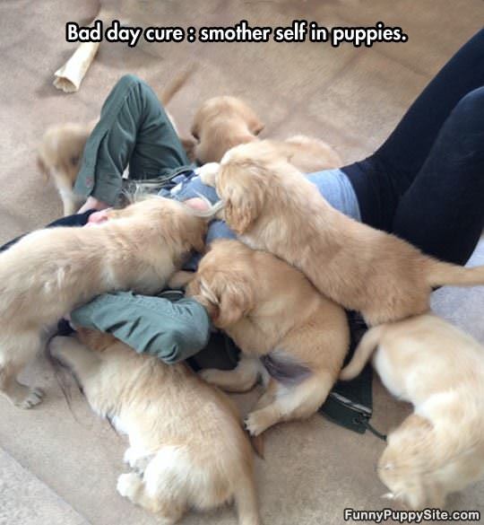 Bad Day Cure