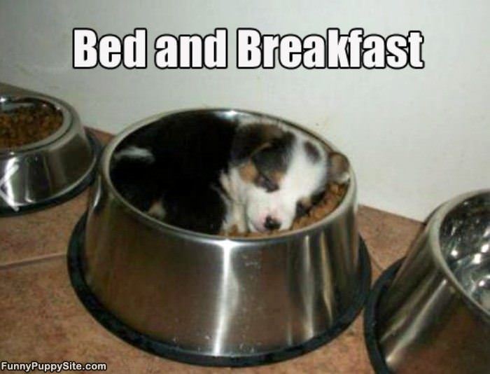 Bed And Breakfast