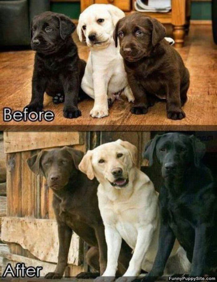 Before And After