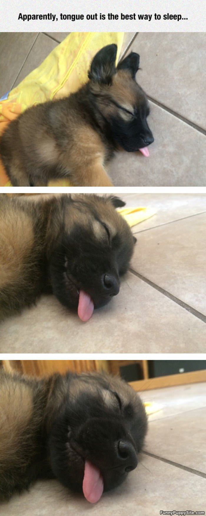 Best Way To Sleep