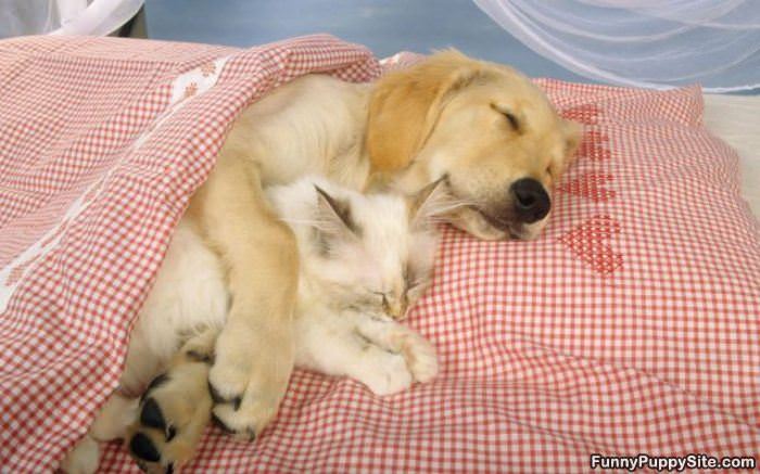 Bestest Of Friends