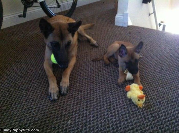 Big And Little