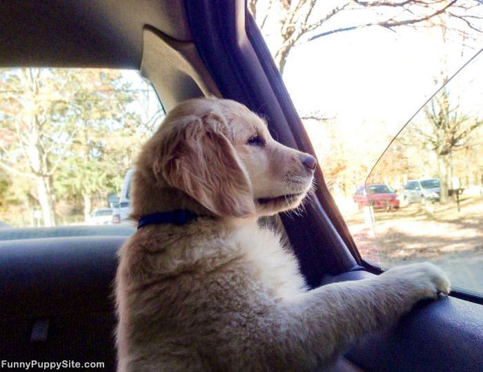 Big World Out There
