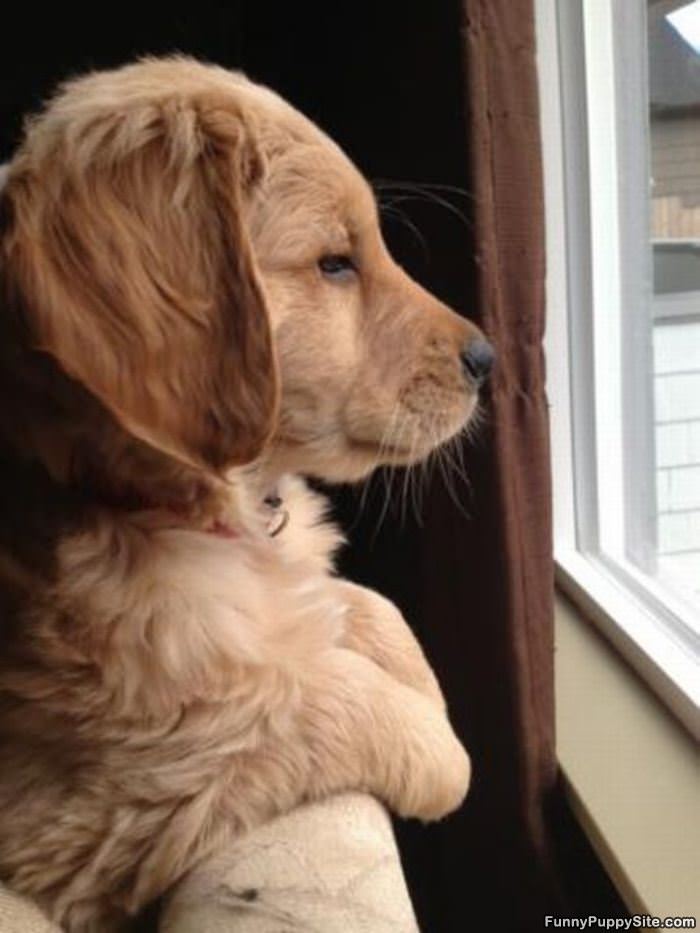 Big World Out There