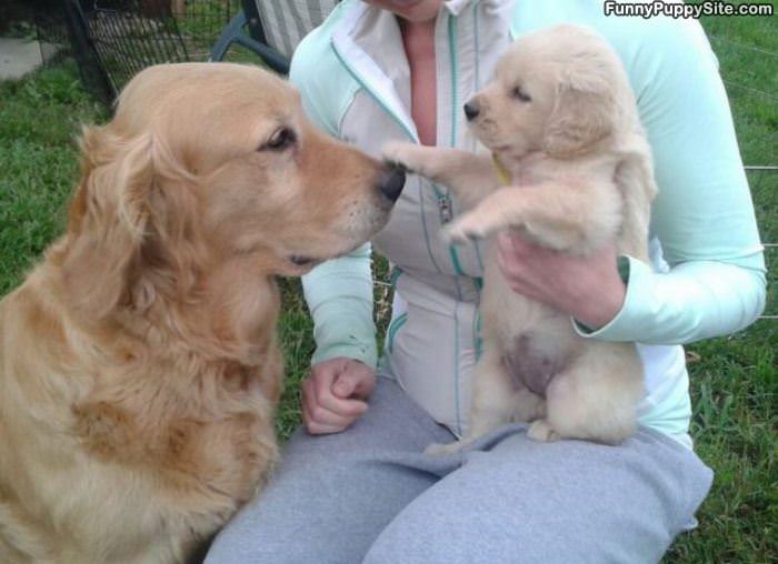 Booped Your Nose