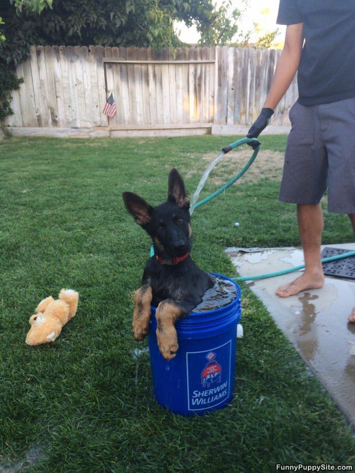 Bucket Of Bath