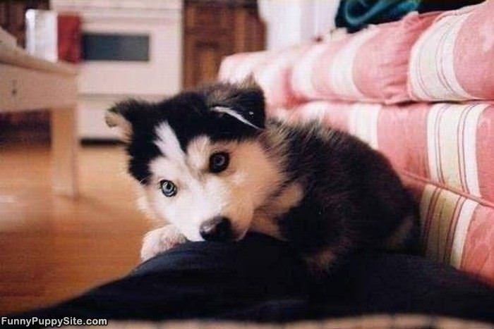 Can I Have A Snack