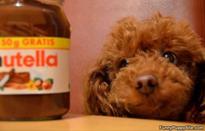Can I Have Some