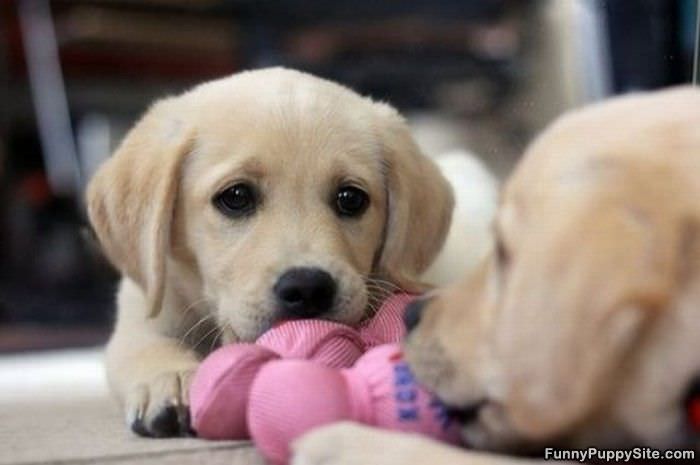 Can We Share