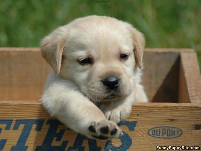 Can You Take Me Out Of Here