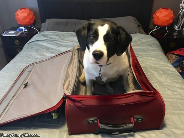 Can You Take Me With You