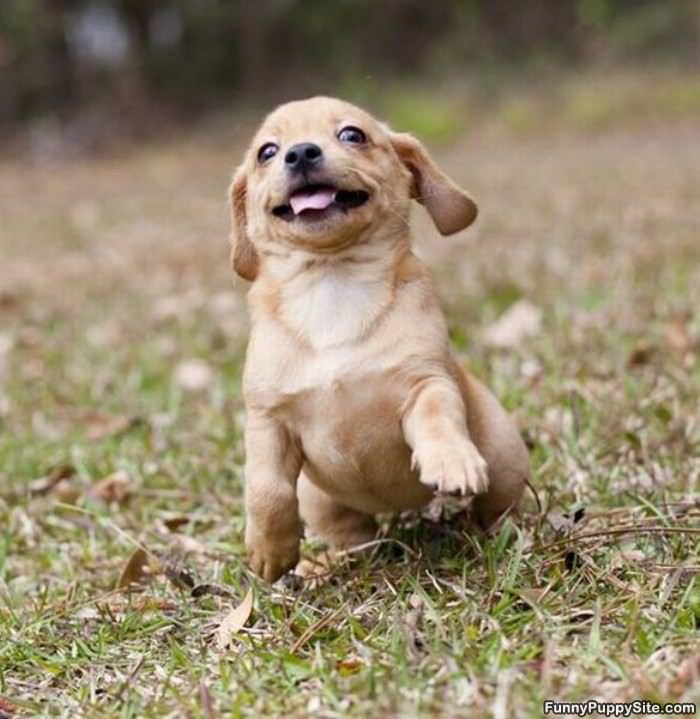 Cant Do High 5s Yet
