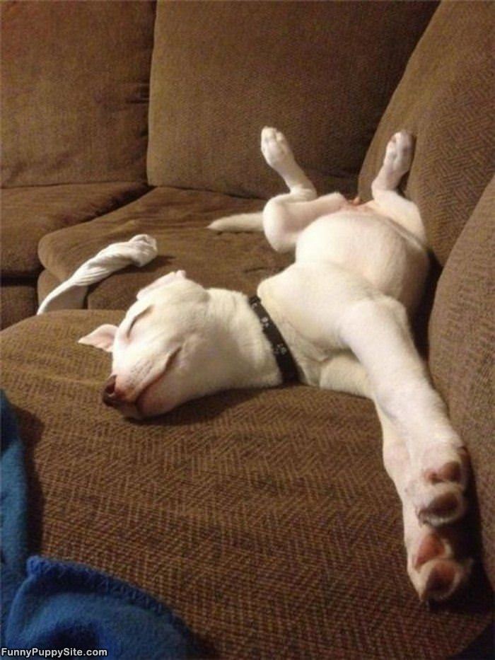 Chillin On The Couch