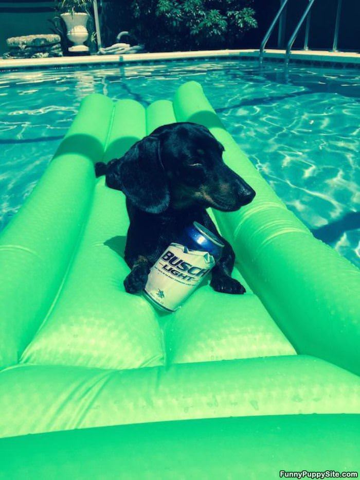 Chilling On A Hot Day
