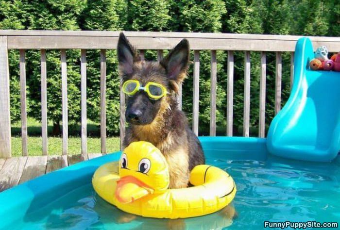 Cooling Down In Style