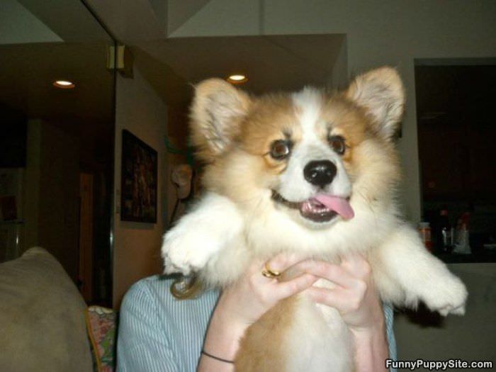 Cute Face