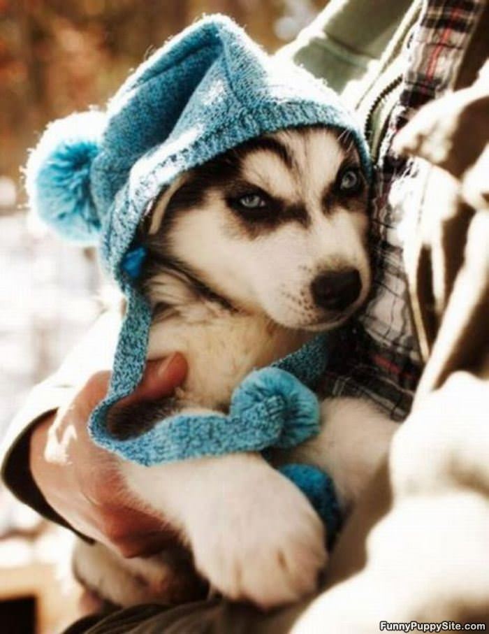 Cute Little Hat