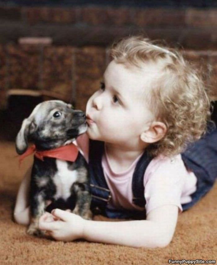 Cute Puppy Kiss