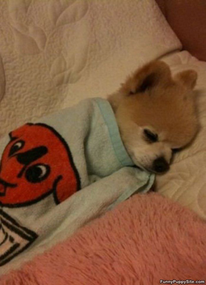 Cute When Sleeping