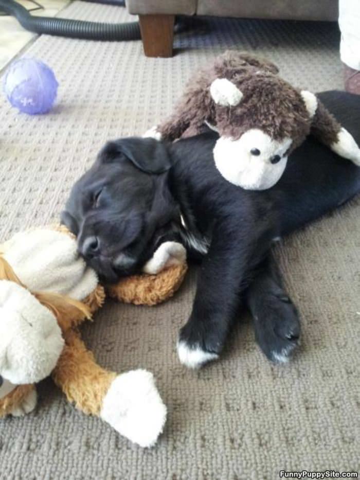 Cute While Sleeping