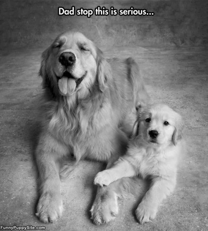 Dad Stop It
